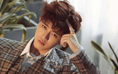 任嘉伦邓伦最新爆料,揭秘演艺圈幕后故事与心路历程